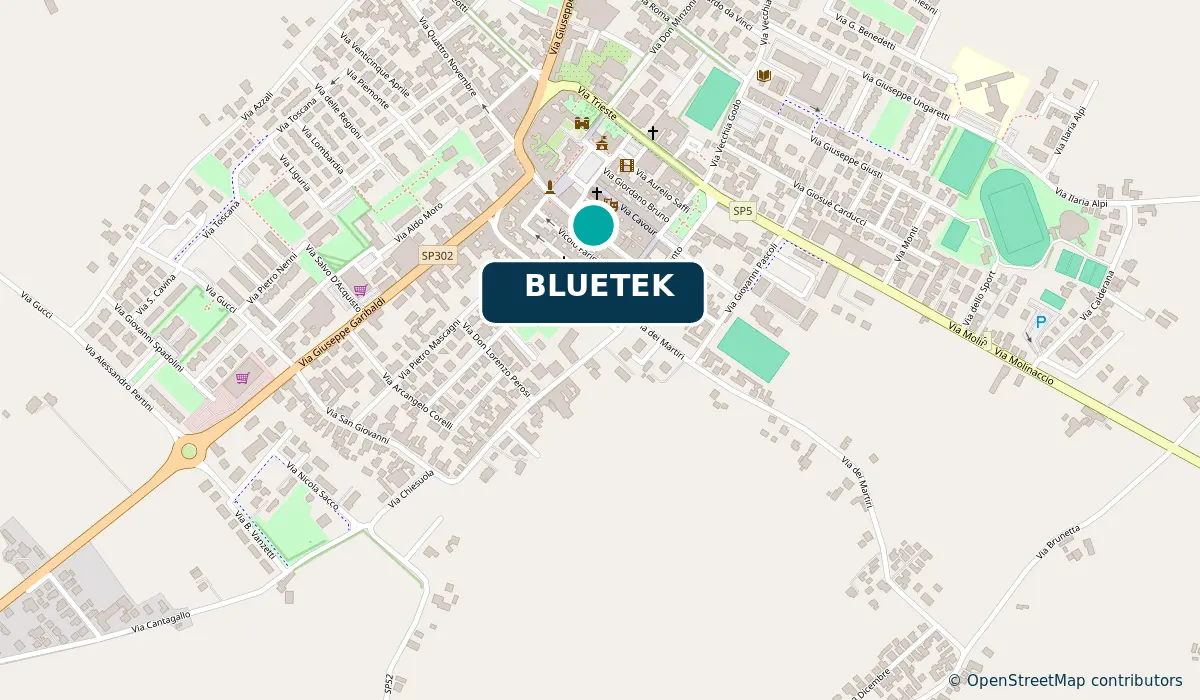 Mappa della sede BLUETEK a Russi, Via Carlo Luigi Farini 31